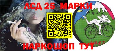 индика Жуковский
