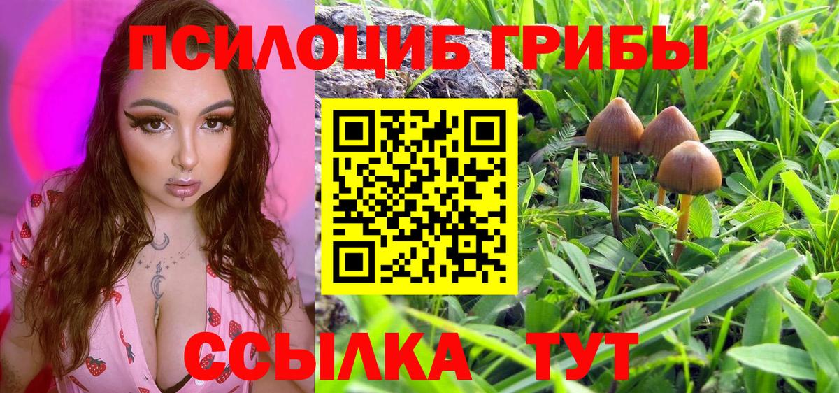 Галлюциногенные грибы ЛСД  Вход с VPN  наркота  Зеленогорск 